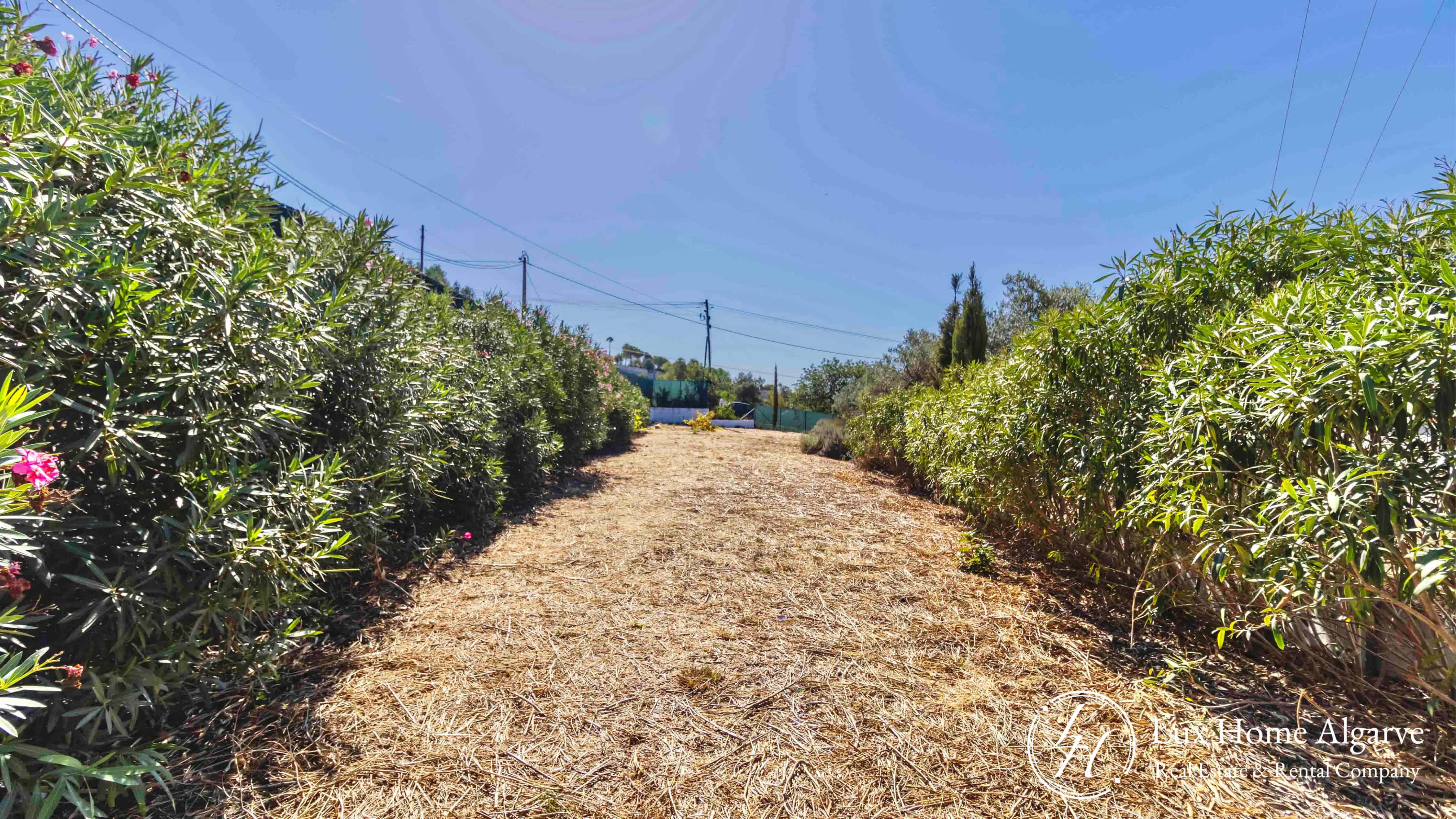 Discover Your Private Paradise in the Algarve! - Image 3