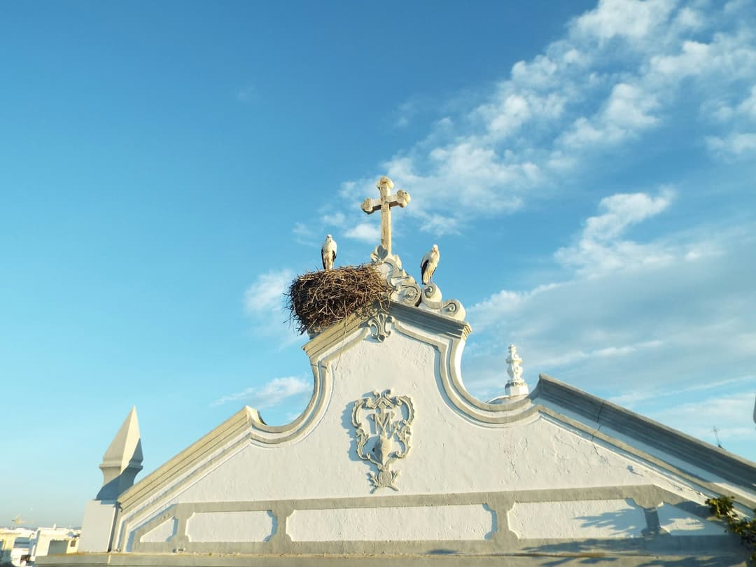 Olhão - Discover LuxHome Algarve - Luxury Real Estate in Portugal